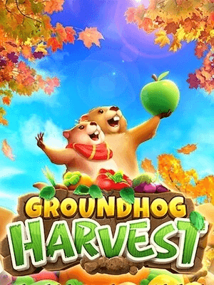 groundhog harvest