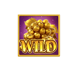 wild MidasFortune