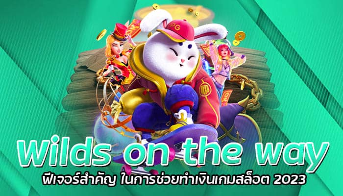 Wilds on the way ฟีเจอร์สำคัญ