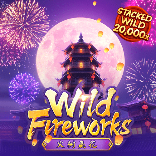 wild fireworks